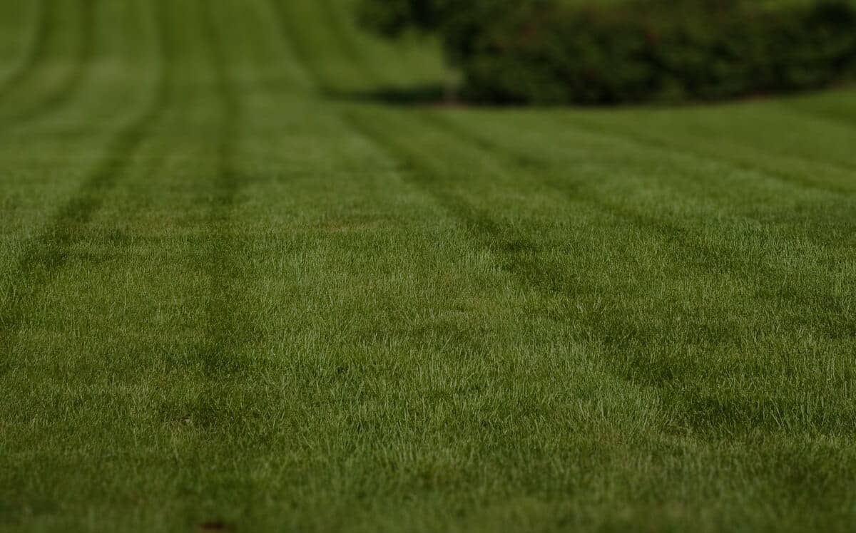 lawn-care-services-in-Worcester-MA residential-lawn-cutting-businesses-in-Worcester-MA